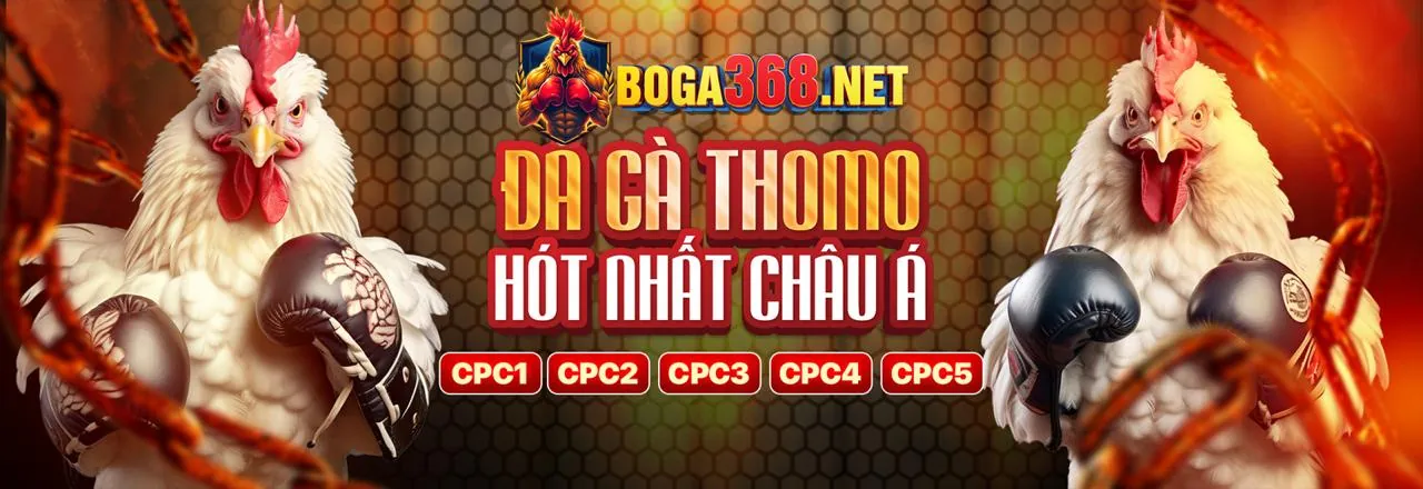 Đá Gà Trực Tuyến bet88 win 2026: Cá Cược Hấp Dẫn & An Toàn